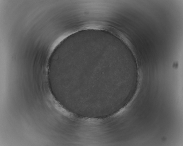 X0000110720779200907022045