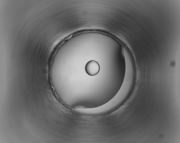 X0000110720781200907022045