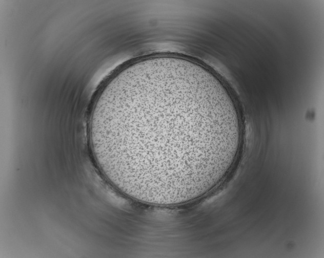 X0000110720782200907022045