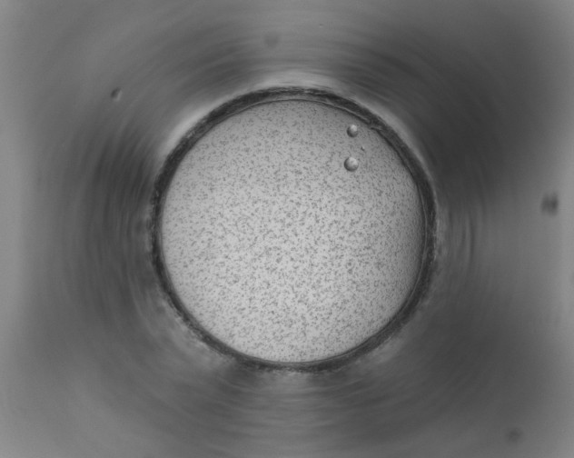 X0000110720783200907022045