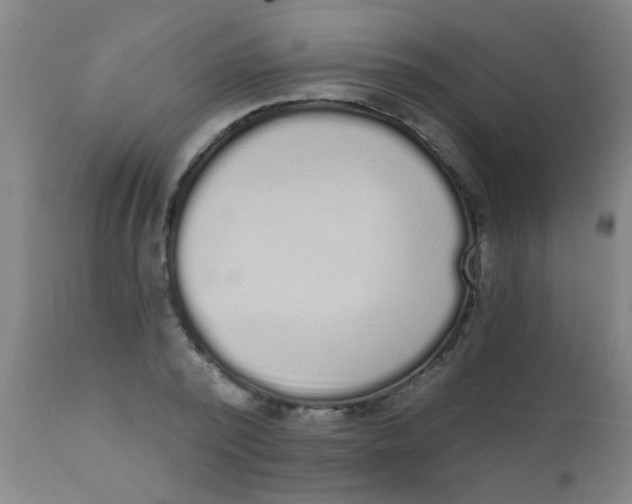 X0000110720784200907022045