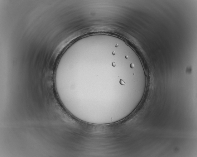 X0000110720786200907022045