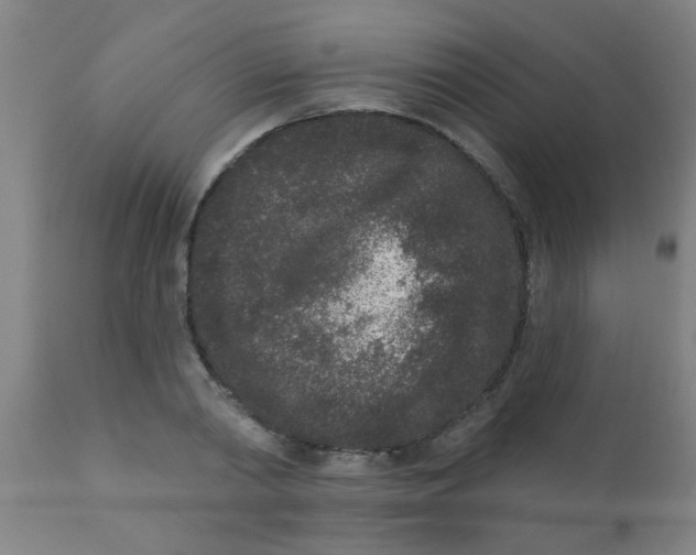 X0000110720790200907022045