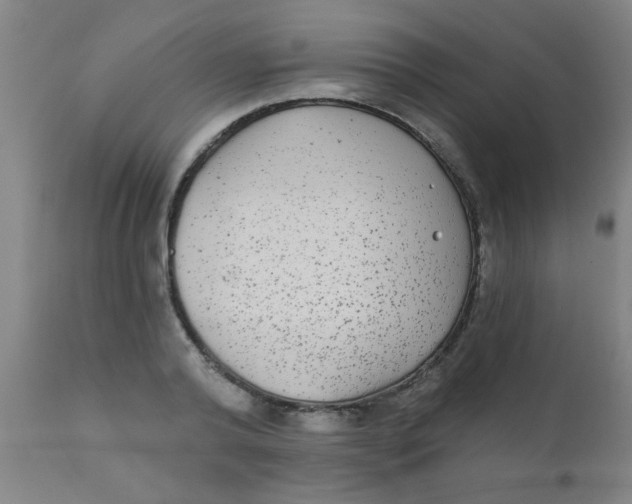 X0000110720792200907022045