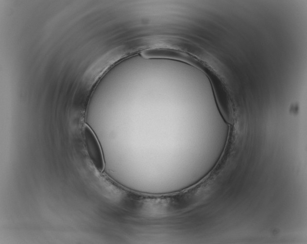 X0000110720793200907022045