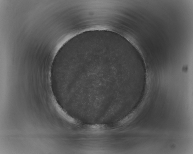 X0000110720797200907022044