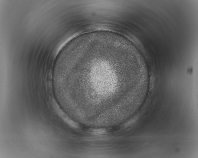 X0000110720798200907022044