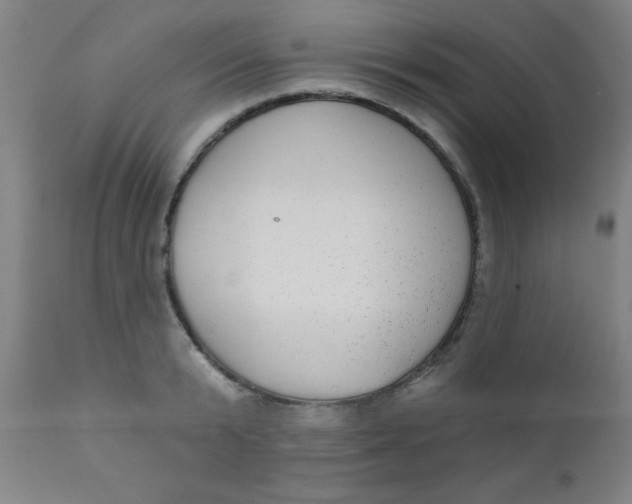 X0000110720799200907022044