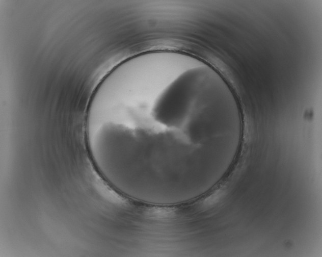 X0000110720802200907022044