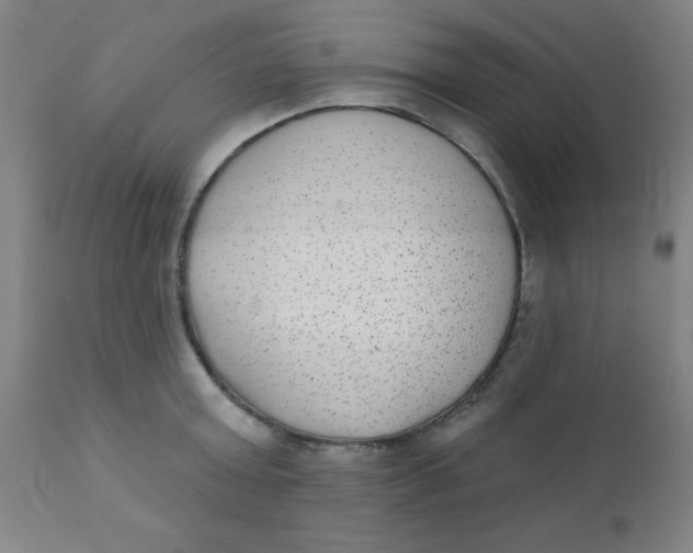 X0000110720803200907022044