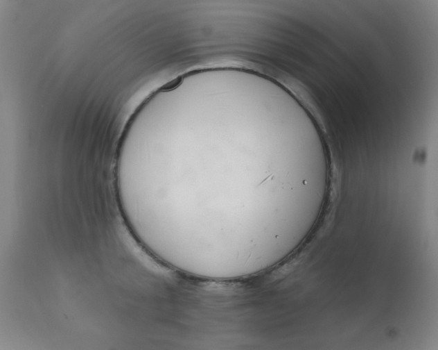 X0000110720805200907022044