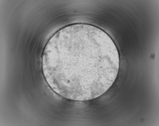 X0000110720807200907022044