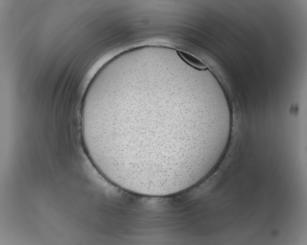 X0000110720808200907022044