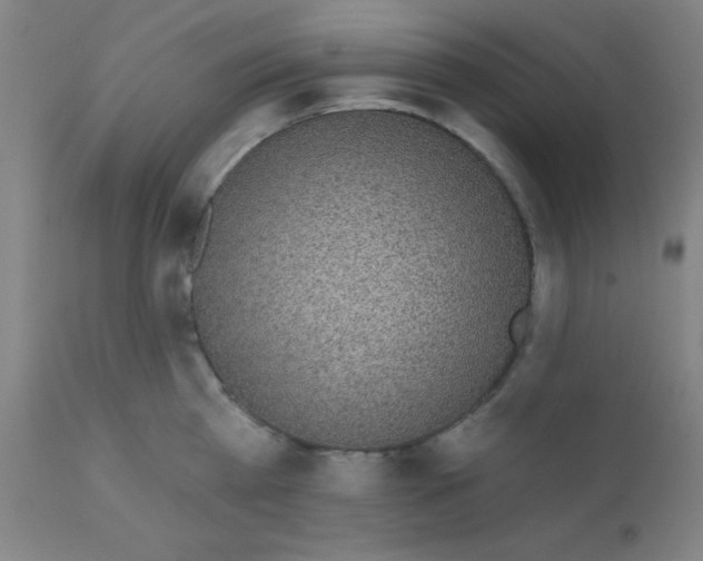 X0000110720809200907022044