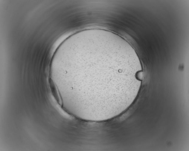 X0000110720812200907022044