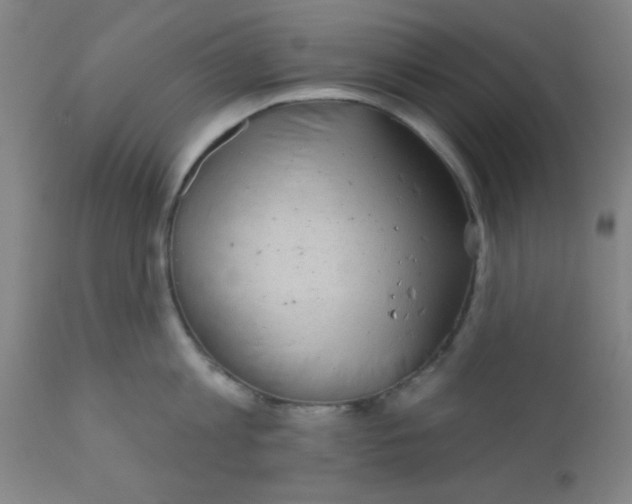 X0000110720813200907022044