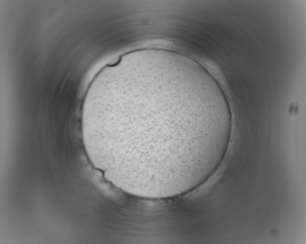 X0000110720816200907022044