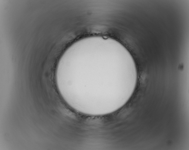 X0000110720817200907022044