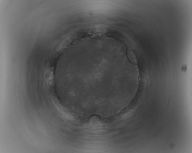 X0000110720818200907022044