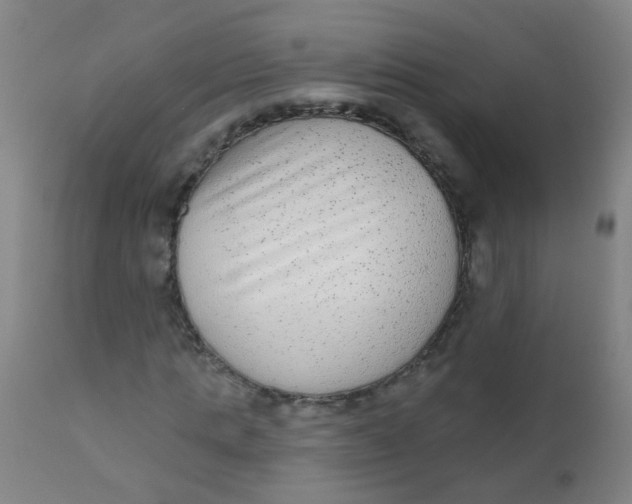 X0000110720821200907022044