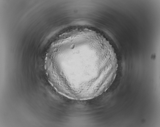 X0000110720823200907022044