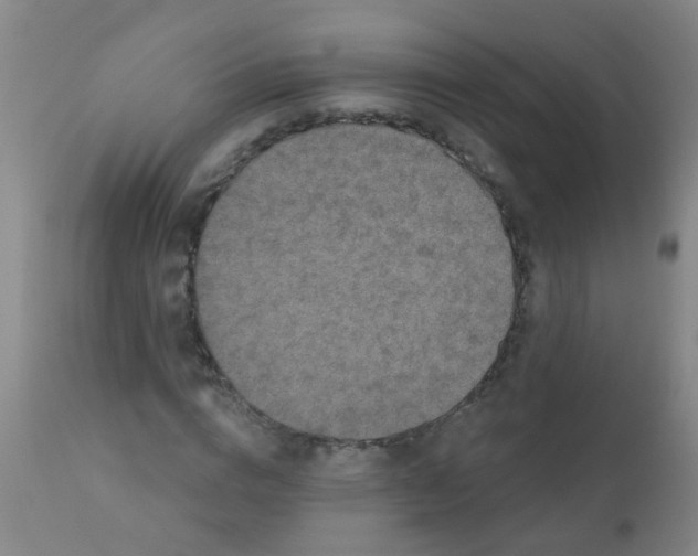 X0000110720824200907022044