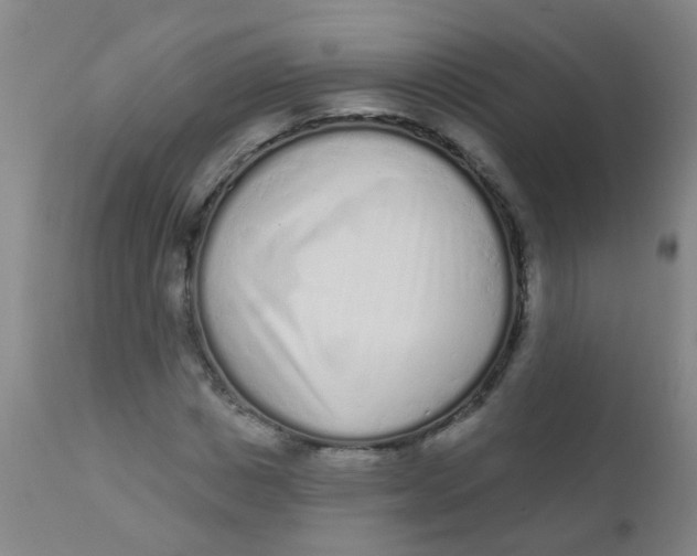 X0000110720825200907022044