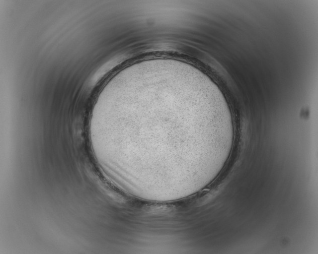 X0000110720826200907022044