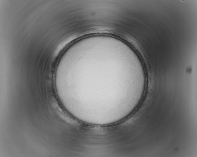 X0000110720827200907022044