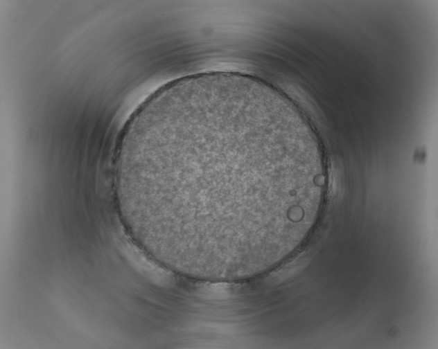 X0000110720828200907022044