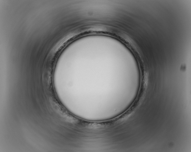 X0000110720829200907022044