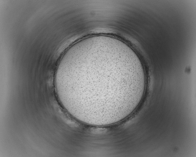 X0000110720833200907022044