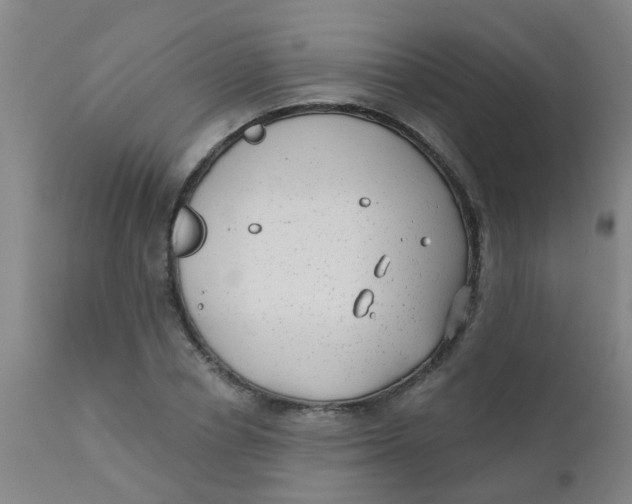 X0000110720834200907022044