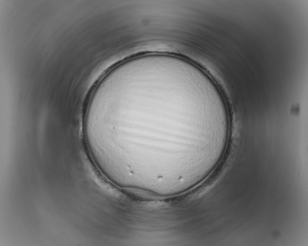 X0000110720837200907022044