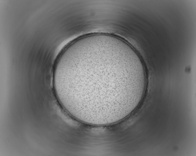 X0000110720838200907022044