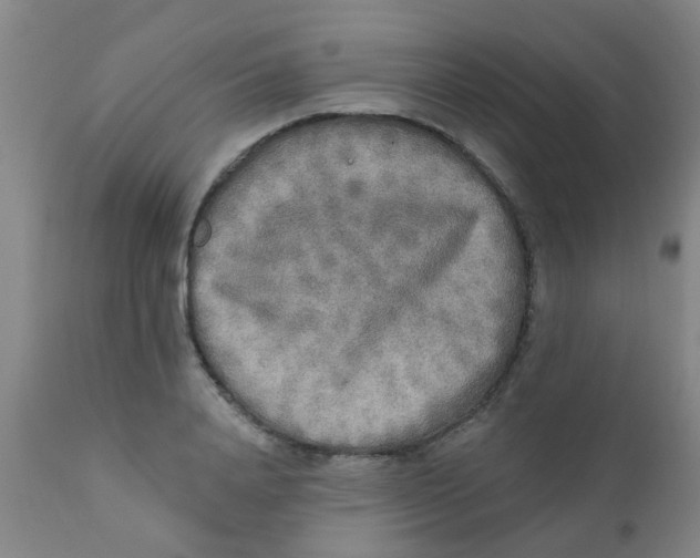 X0000110720840200907022044