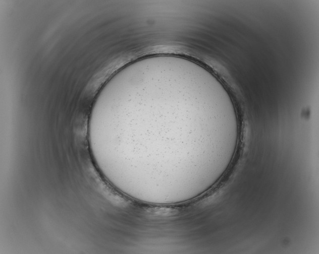 X0000110720841200907022044