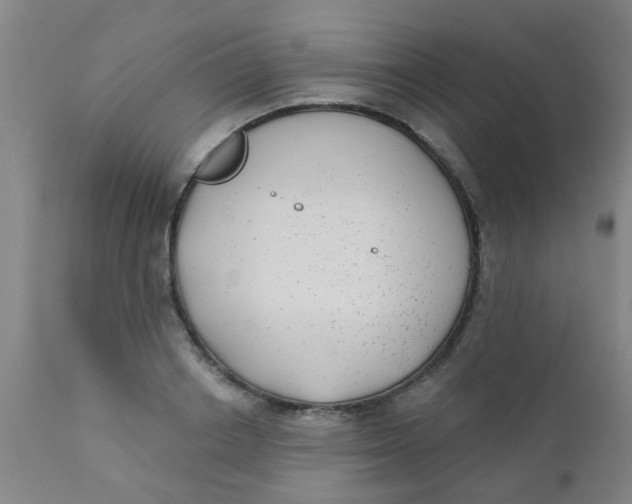 X0000110720842200907022044