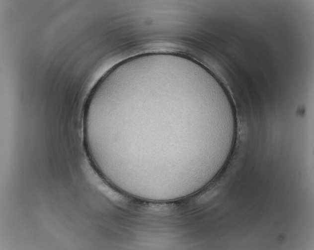 X0000110720843200907022044