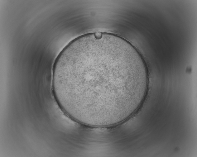 X0000110720844200907022044