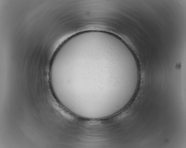 X0000110720846200907022044