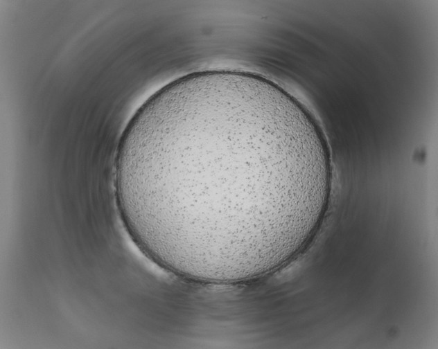 X0000110720847200907022044