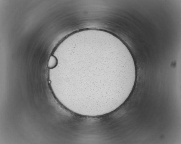 X0000110720848200907022044