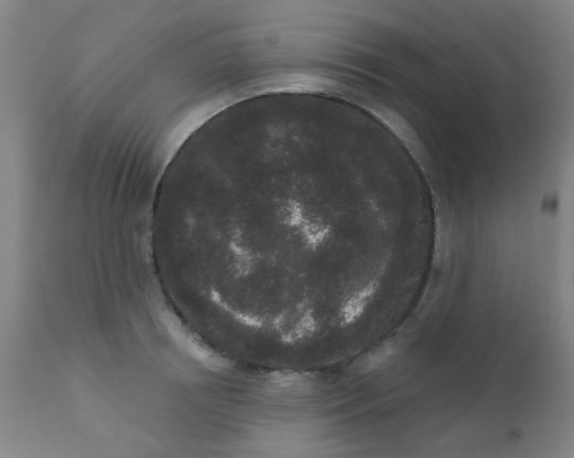 X0000110720850200907022044