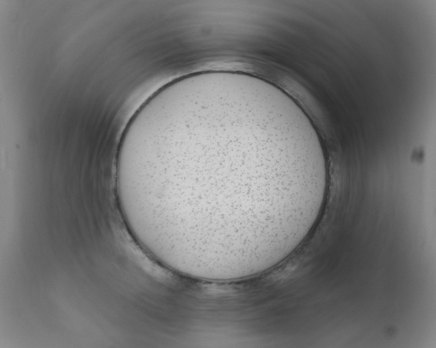 X0000110720852200907022044