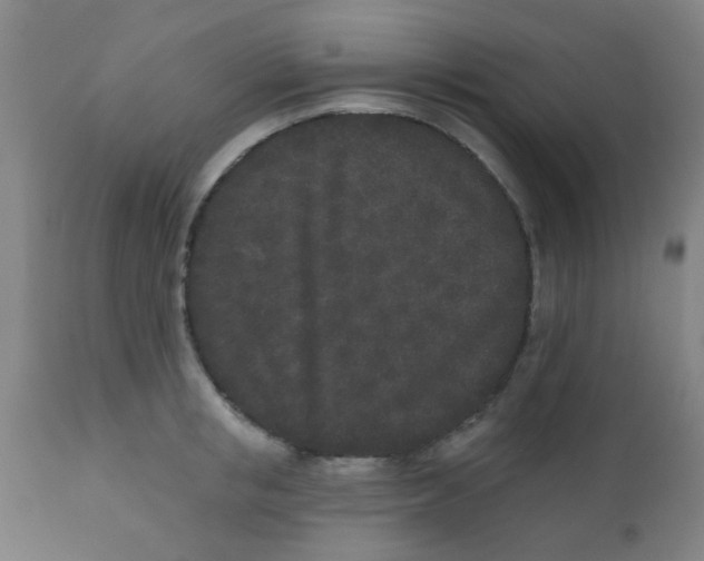 X0000110720853200907022044