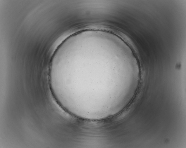 X0000110720855200907022044