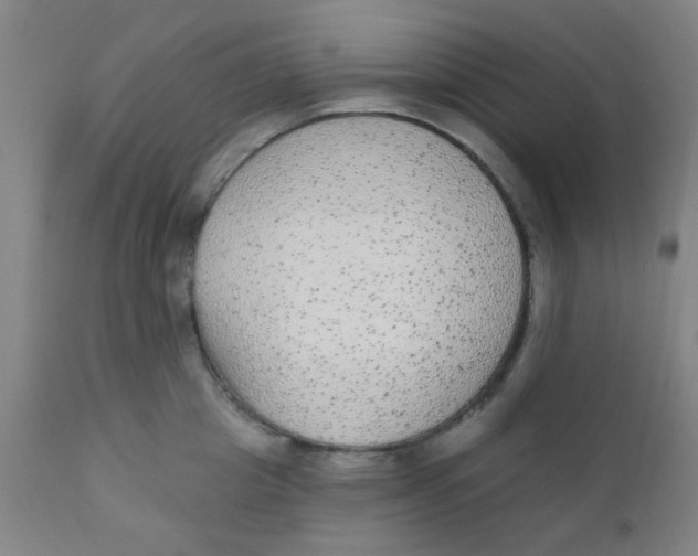 X0000110720857200907022044