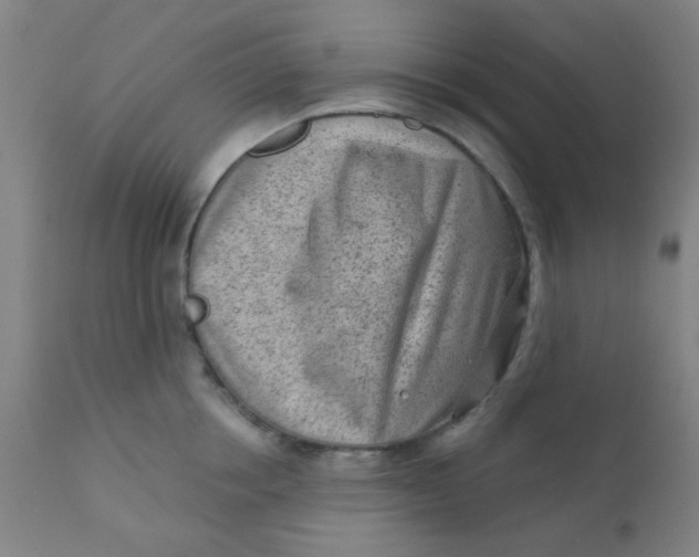 X0000110720858200907022044