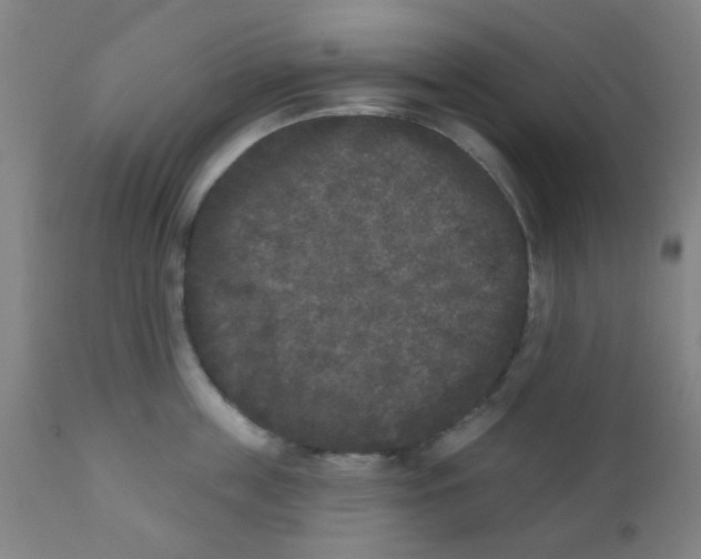 X0000110720859200907022044